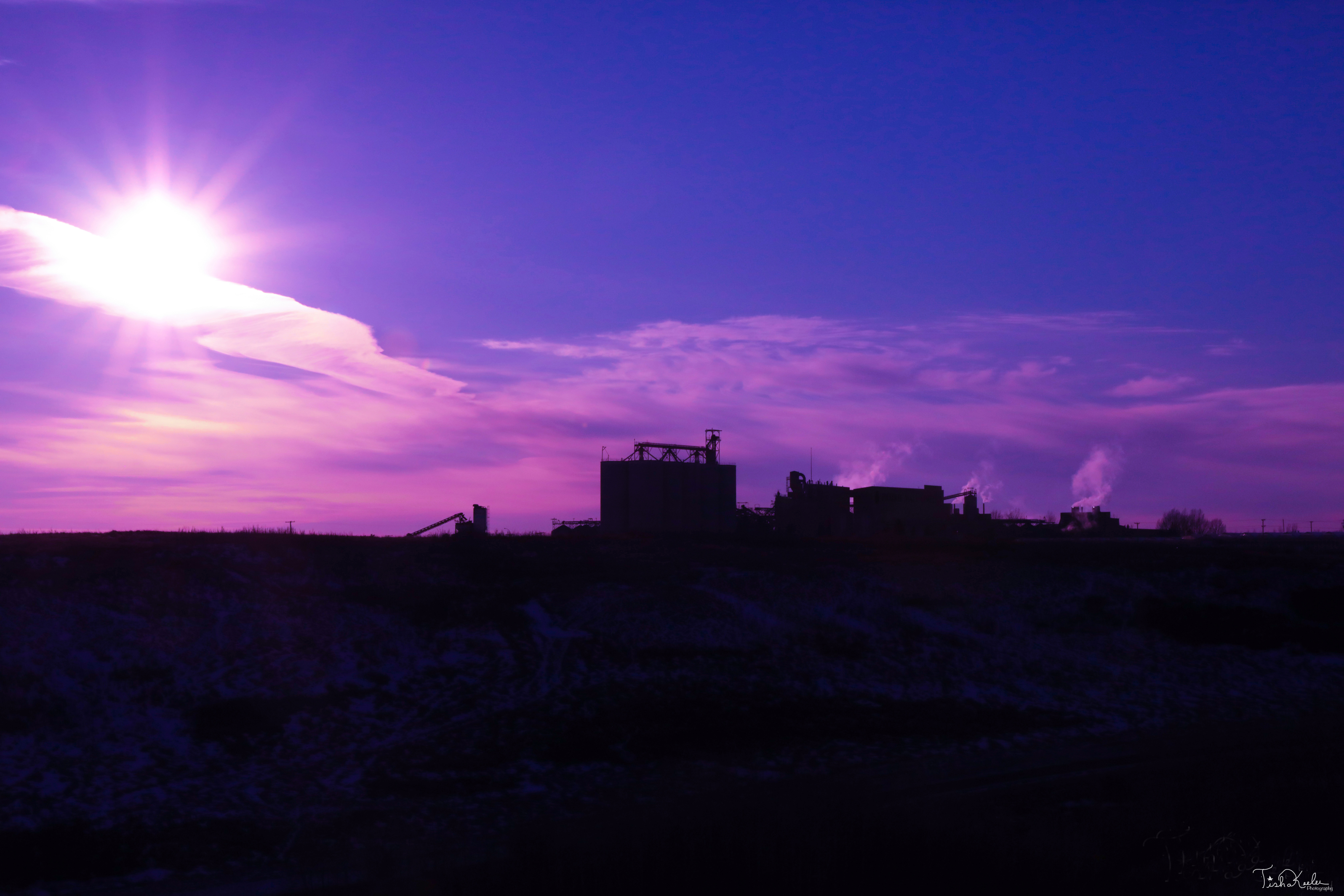 Prairie Malt Purple Sunset (2 of 1).jpg